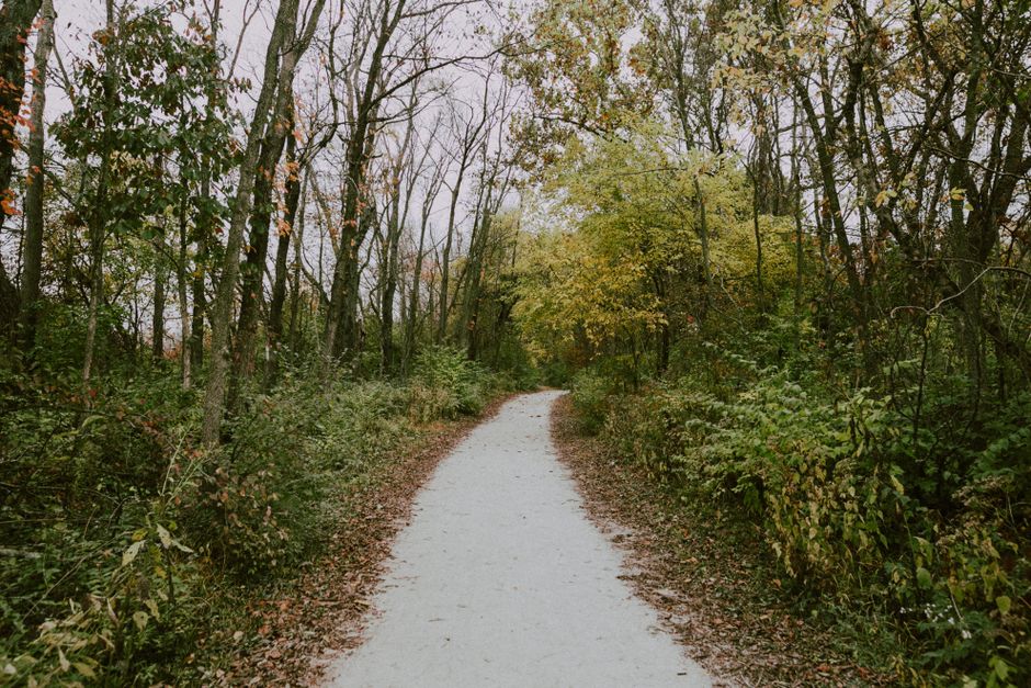 A Step-by-Step Look at The Ordinary Virtues Of Walking