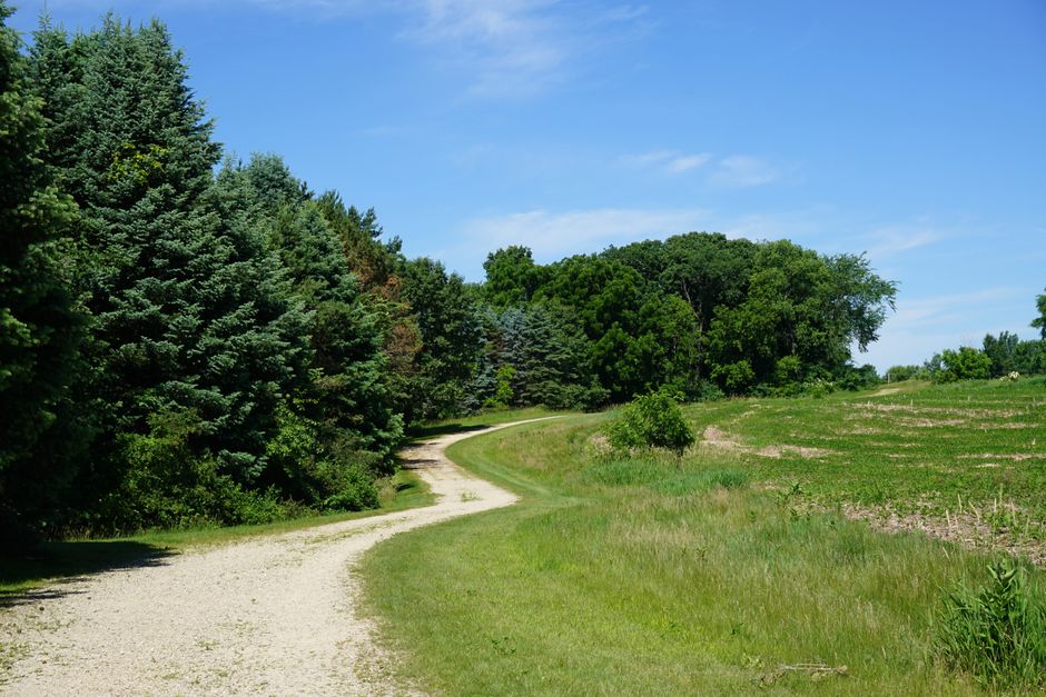 Building a Daily Routine Around Ageing Well, Explained Simply