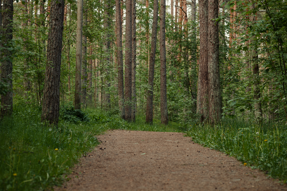 Building a Daily Routine Around Simplicity As A Health Strategy