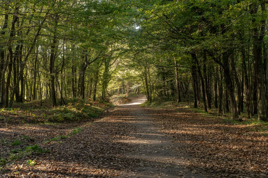 Where to Begin With Caring For Your Overall Health