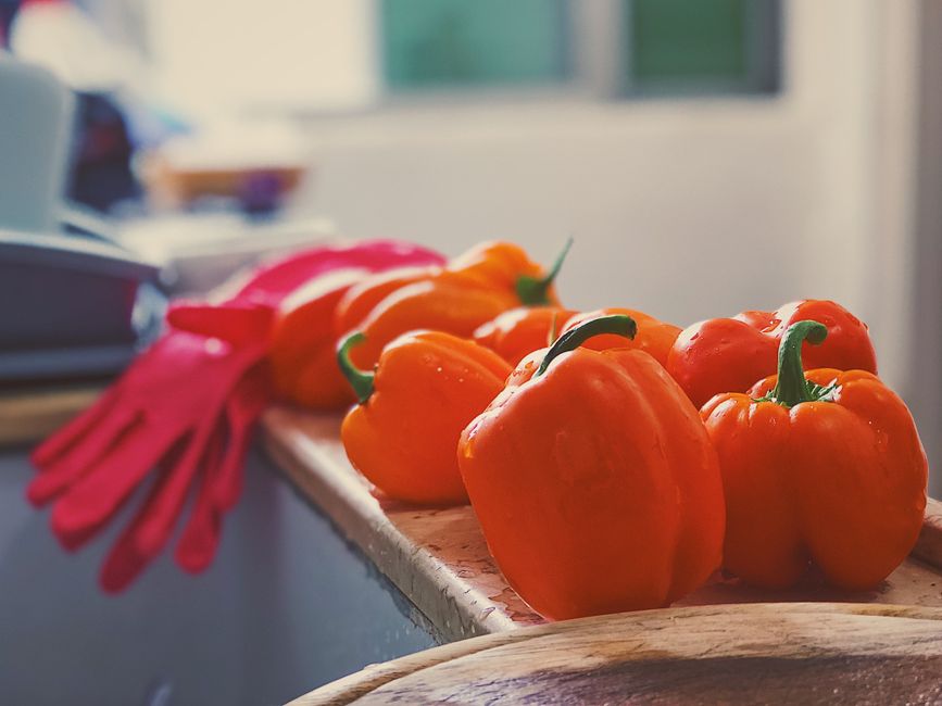 Everyday Wellness Tips in Your 40s, 50s and Beyond