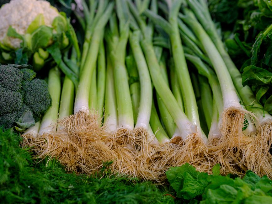 Everyday Wellness Tips: Myths and Facts