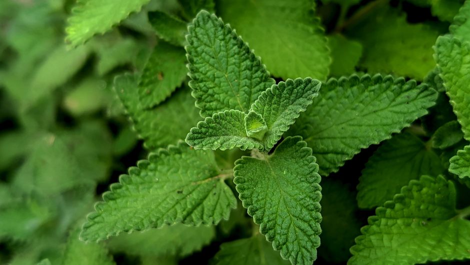 Getting Started With Seasonal Changes And How The Body Responds, Day by Day