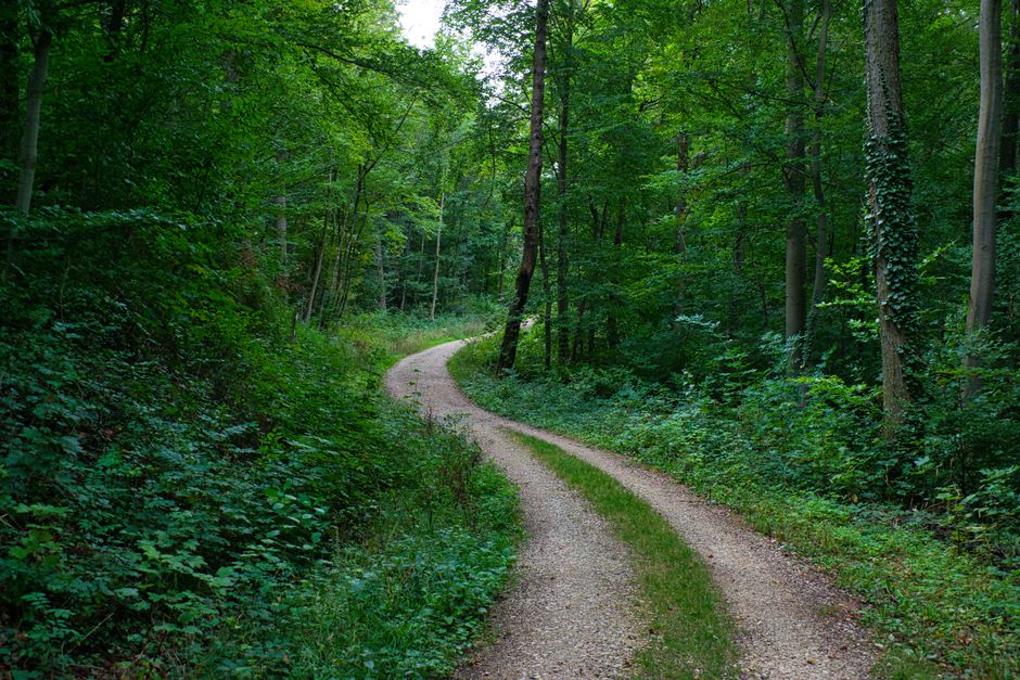 Habits: How They Actually Form: Small Steps That Stick