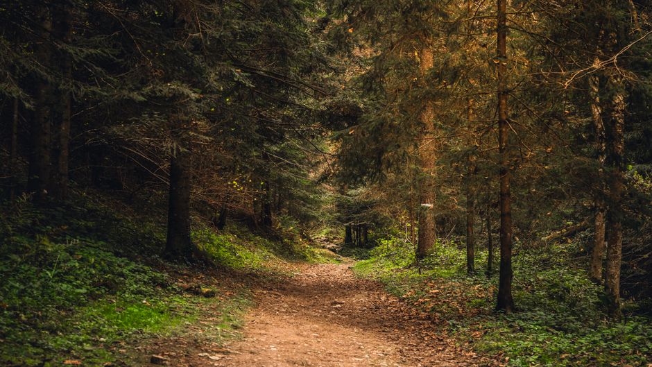 How Starting Over Without Starting From Scratch Fits a Real Routine, Without the Hype