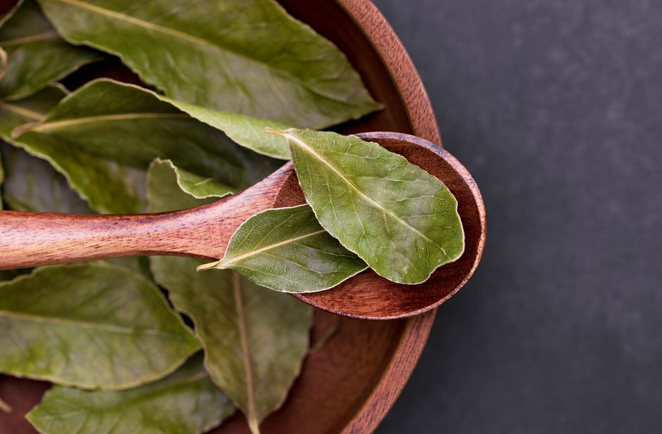 A Slower Approach to Hydration, Breath And The Overlooked Basics, Without the Hype