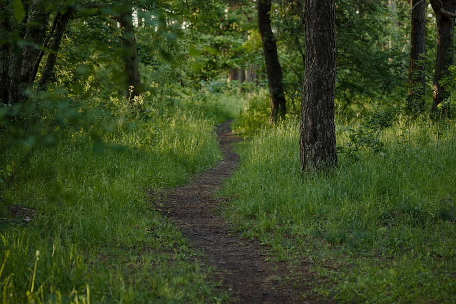 Living Well With Starting Over Without Starting From Scratch in Mind, Starting Today