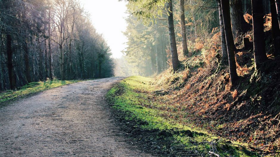Recovery, Rest Days And Overdoing It: Where the Evidence Points