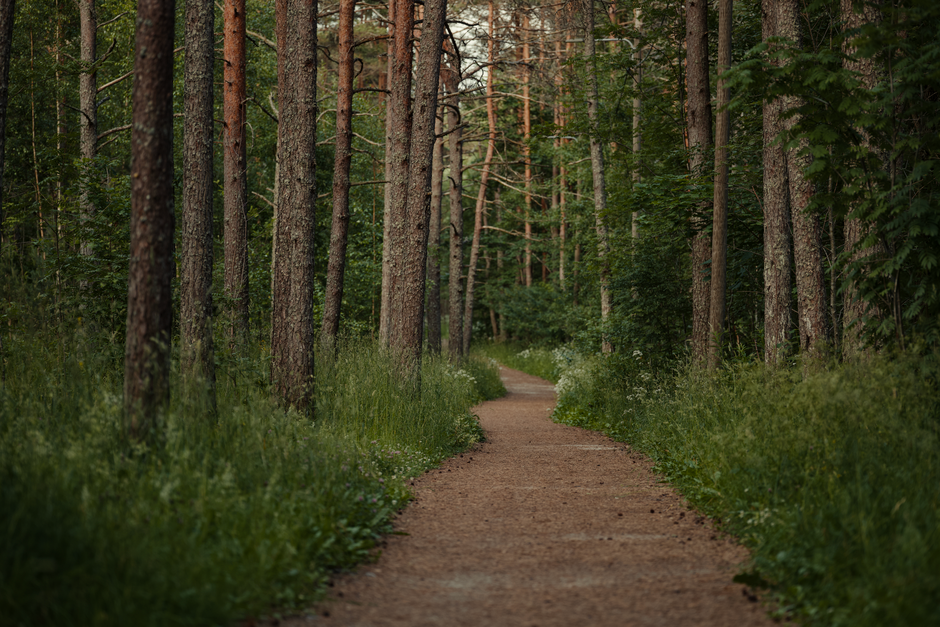 Rethinking Tracking, Measuring And When To Stop, Without the Hype