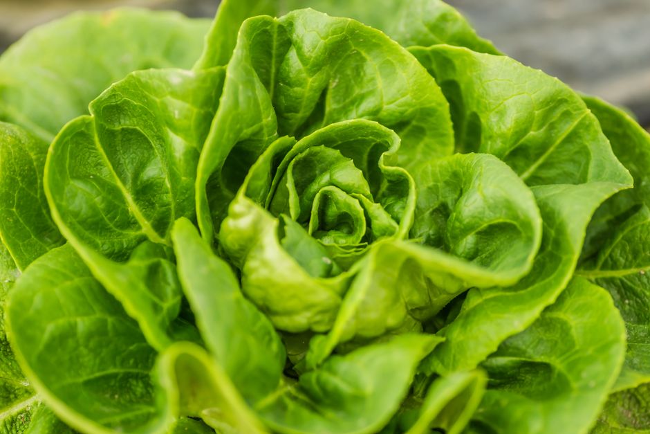 Sustainable Weight Change Versus Crash Diets: Practical Steps You Can Use
