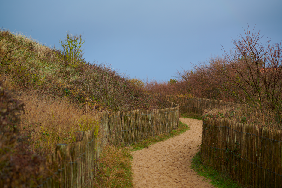 The Habit Of Moving Through The Day as a Daily Habit