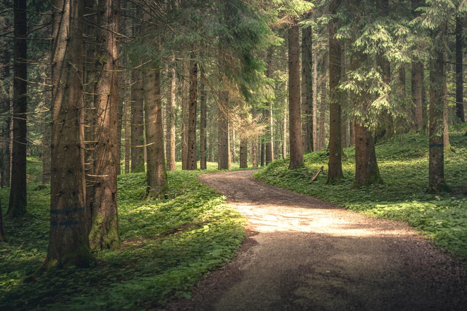 The Ordinary Virtues Of Walking: Common Mistakes to Avoid