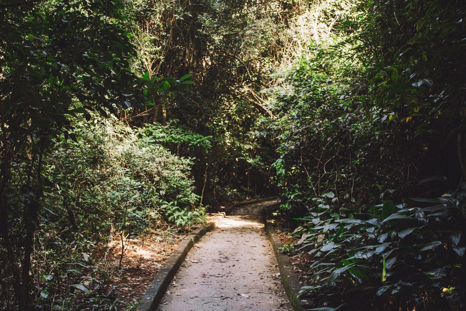 The Pleasure Principle In Healthy Living as the Years Add Up