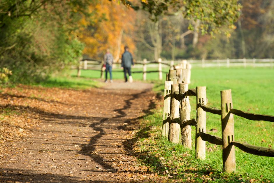 Starting Small With The Pleasure Principle In Healthy Living, Without the Hype