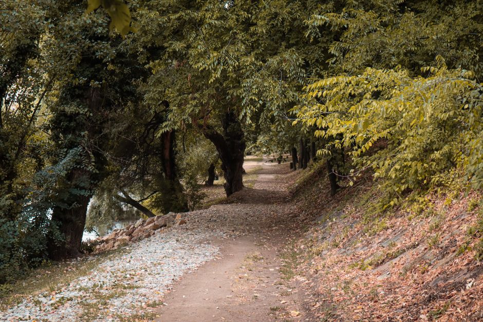 The Pleasure Principle In Healthy Living When You're Short on Time