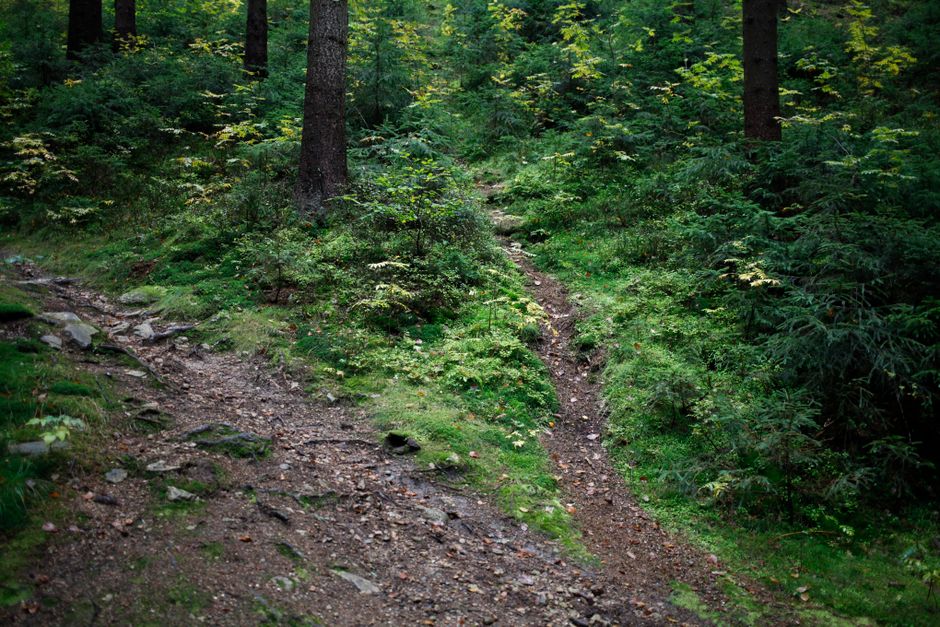 The Truth About Habits: How They Actually Form, Without the Hype