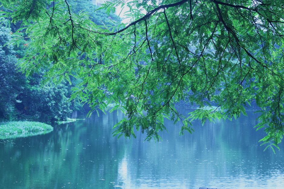 Wellness Without Perfectionism in Your 40s, 50s and Beyond, for Real Life