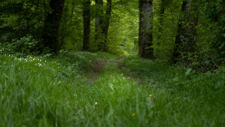 Tracking, Measuring And When To Stop: A Beginner's Guide