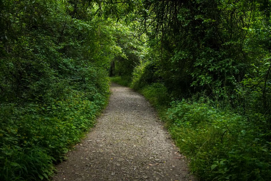Understanding A Balanced Approach To Wellness in Plain Terms