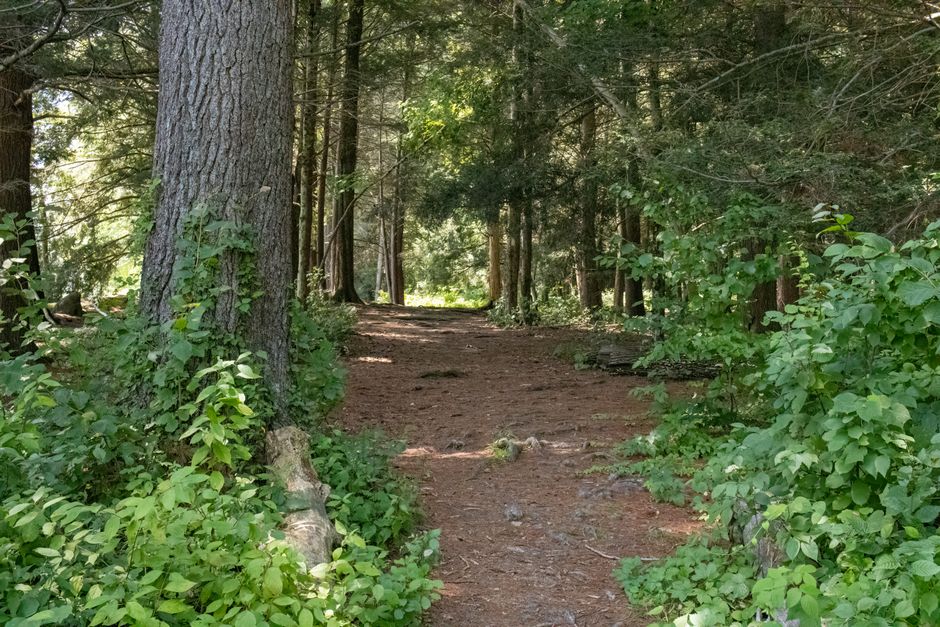 Understanding The Habit Of Moving Through The Day in Plain Terms