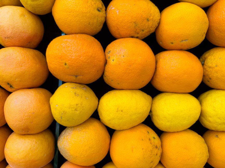 Vitamin D And The Limits Of Sunlight When You're Short on Time, the Honest Way