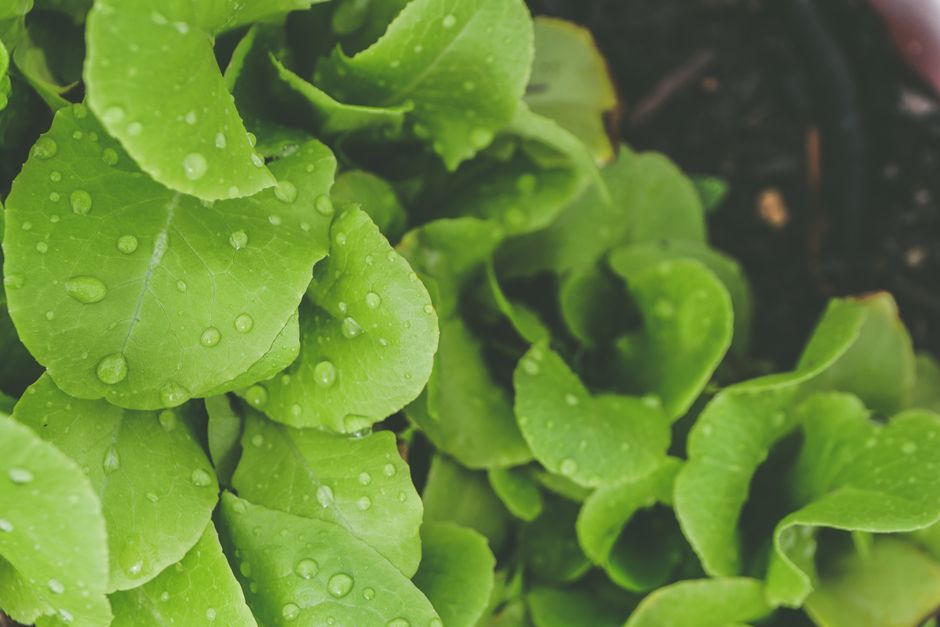 Weight, Health And The Number On The Scale When You're Short on Time, on a Normal Week