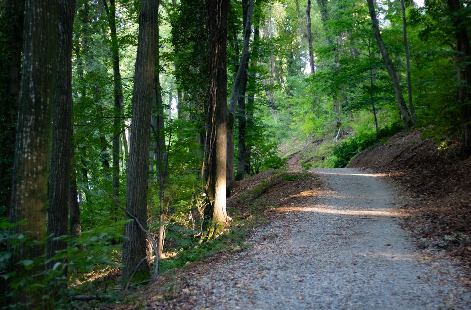 What Consistency Looks Like With Habits: How They Actually Form