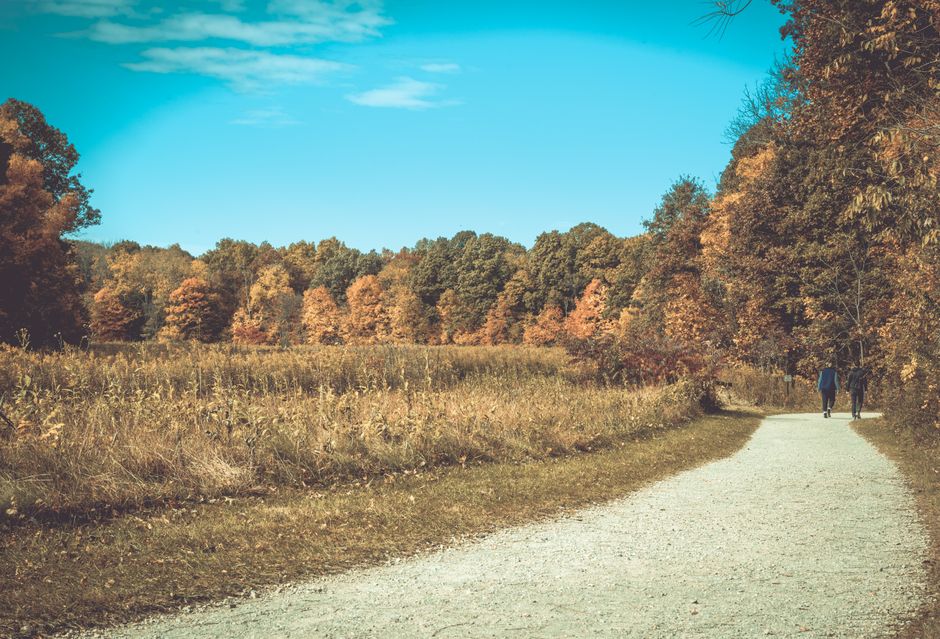 Where People Go Wrong With Starting Again After A Setback