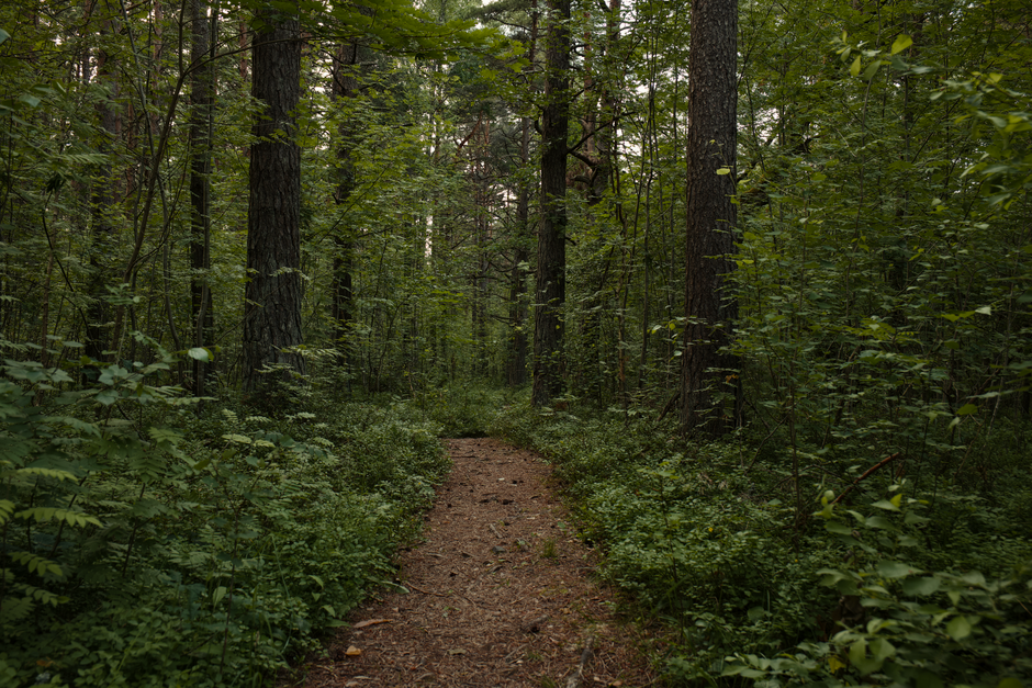 Where to Begin With Health Over A Lifetime, Not A Season, Starting Today
