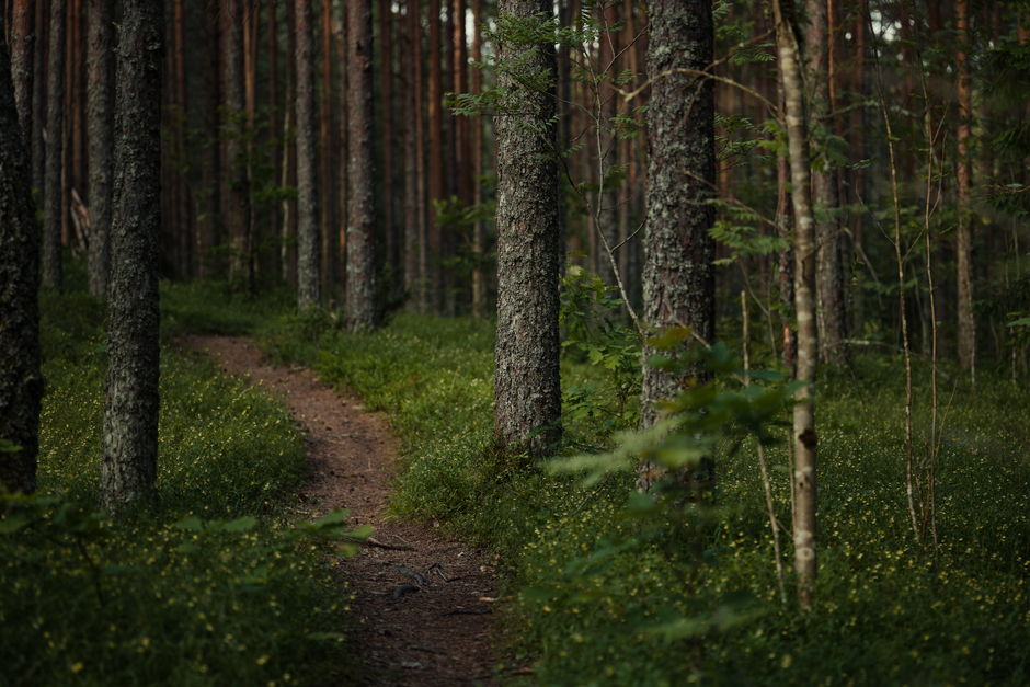 Why Recovery, Rest Days And Overdoing It Is Worth Your Attention, for Real Life